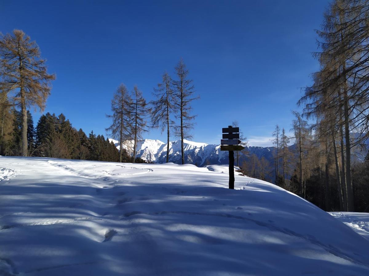 Il Riccio Del Castagno Novaledo Exterior foto