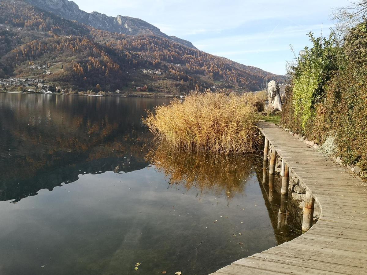 Il Riccio Del Castagno Novaledo Exterior foto