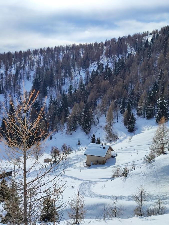 Il Riccio Del Castagno Novaledo Exterior foto